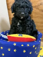 processed/63f31034-95a7-49aa-908e-6b2ce0b370e0/listing/efd36f04-5309-4767-b92f-542d1ba563a2/c05748c6-e622-4064-8cd6-22ea2a5f4248