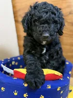 processed/63f31034-95a7-49aa-908e-6b2ce0b370e0/listing/efd36f04-5309-4767-b92f-542d1ba563a2/e4ae94a9-41bf-4096-87dd-85bf32ed6297