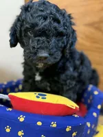 processed/63f31034-95a7-49aa-908e-6b2ce0b370e0/listing/efd36f04-5309-4767-b92f-542d1ba563a2/f24bfa14-5e5a-4f16-9e5d-af755cc7a72c