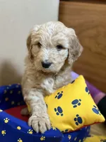 processed/63f31034-95a7-49aa-908e-6b2ce0b370e0/listing/f0974e36-ffc8-4cae-9173-b9d4fb9bbf44/53a8783f-6d8d-4ffd-a159-8a1e5e03e3c3