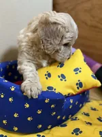 processed/63f31034-95a7-49aa-908e-6b2ce0b370e0/listing/f0974e36-ffc8-4cae-9173-b9d4fb9bbf44/8143f599-93eb-40ec-9f5c-41349b673255