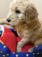 processed/63f31034-95a7-49aa-908e-6b2ce0b370e0/listing/f0974e36-ffc8-4cae-9173-b9d4fb9bbf44/eb95321e-1863-4622-8386-e9a76f54a3d6