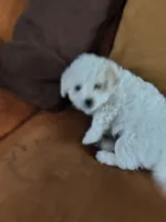 processed/63f3accb-4c9d-4ed3-9295-249cc4a93f95/listing/bb761764-d08c-4b49-b8c3-207a7fdb743f/0b65e918-6de5-43a2-aeaa-eaed6a872c3a