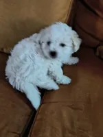 processed/63f3accb-4c9d-4ed3-9295-249cc4a93f95/listing/bb761764-d08c-4b49-b8c3-207a7fdb743f/943e2f47-faec-4c6f-89fa-8fcedd9cb71b