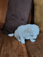 processed/63f3accb-4c9d-4ed3-9295-249cc4a93f95/listing/bb761764-d08c-4b49-b8c3-207a7fdb743f/ea0c1a60-8d0b-4a19-be64-99ab165d3dcc