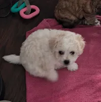 processed/63f3accb-4c9d-4ed3-9295-249cc4a93f95/listing/bb761764-d08c-4b49-b8c3-207a7fdb743f/f1b9e1dd-b6a7-425a-a295-c9cbfcfe90b2