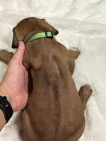 processed/63fa635f-ae2a-4fc2-922a-2fb65f21f200/listing/04f273d0-7125-4d99-817b-5573003ed39f/3eafd7d2-838b-41fc-b66a-a7d66d222ca2