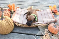 processed/63fa635f-ae2a-4fc2-922a-2fb65f21f200/listing/04f273d0-7125-4d99-817b-5573003ed39f/8ae6abb0-5a11-4dc5-8fdc-000042daad19