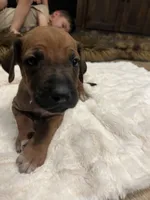 processed/63fa635f-ae2a-4fc2-922a-2fb65f21f200/listing/04f273d0-7125-4d99-817b-5573003ed39f/f63190fa-8368-4b2e-86a1-b362f5ae0c37