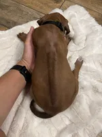 processed/63fa635f-ae2a-4fc2-922a-2fb65f21f200/listing/3b31b3c6-4cb7-4f5f-ba8d-d74784c7f445/1ed11b6f-c88b-4f67-8a20-bf85cafb7658