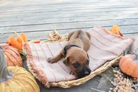 processed/63fa635f-ae2a-4fc2-922a-2fb65f21f200/listing/3b31b3c6-4cb7-4f5f-ba8d-d74784c7f445/a4bec5ab-c1fb-4533-b49d-688b0fbf7d62