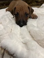 processed/63fa635f-ae2a-4fc2-922a-2fb65f21f200/listing/3b31b3c6-4cb7-4f5f-ba8d-d74784c7f445/b0c31a0b-ad15-4bc8-8aad-39336bd289d7