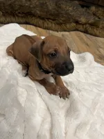 processed/63fa635f-ae2a-4fc2-922a-2fb65f21f200/listing/3b31b3c6-4cb7-4f5f-ba8d-d74784c7f445/bf973702-1705-4e2a-bfd5-66ab71ecf851