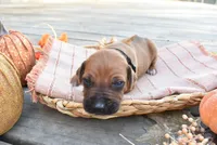 processed/63fa635f-ae2a-4fc2-922a-2fb65f21f200/listing/3b31b3c6-4cb7-4f5f-ba8d-d74784c7f445/ee0b4bc0-9460-4b32-bfc7-70e78c3bb446