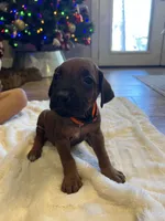 processed/63fa635f-ae2a-4fc2-922a-2fb65f21f200/listing/44223c79-eb48-48aa-8fd0-1ef8d6afa41b/524f5ae1-7ffd-442b-8b33-4f12361daecb