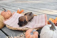 processed/63fa635f-ae2a-4fc2-922a-2fb65f21f200/listing/44223c79-eb48-48aa-8fd0-1ef8d6afa41b/94d8b3fa-798f-4851-b764-de08bbcd9267