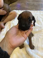 processed/63fa635f-ae2a-4fc2-922a-2fb65f21f200/listing/44223c79-eb48-48aa-8fd0-1ef8d6afa41b/adaa798d-b6b5-4199-8303-697ceebe3991