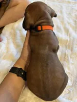 processed/63fa635f-ae2a-4fc2-922a-2fb65f21f200/listing/44223c79-eb48-48aa-8fd0-1ef8d6afa41b/c8da7ee1-3f80-4737-99bc-5c21a8a80137