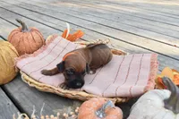 processed/63fa635f-ae2a-4fc2-922a-2fb65f21f200/listing/44223c79-eb48-48aa-8fd0-1ef8d6afa41b/dfc0660a-1a86-45ea-9af2-992085e14485