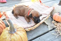 processed/63fa635f-ae2a-4fc2-922a-2fb65f21f200/listing/55f9dad3-3755-4e51-9091-8f9366019b89/4980f665-5c8a-4013-995d-31c221cd7241