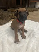 processed/63fa635f-ae2a-4fc2-922a-2fb65f21f200/listing/55f9dad3-3755-4e51-9091-8f9366019b89/87aef19c-71fe-4e7c-ab40-5c536057de80