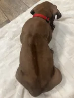 processed/63fa635f-ae2a-4fc2-922a-2fb65f21f200/listing/55f9dad3-3755-4e51-9091-8f9366019b89/9c568891-bc7b-4e78-a5dd-a625db406f03