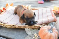 processed/63fa635f-ae2a-4fc2-922a-2fb65f21f200/listing/55f9dad3-3755-4e51-9091-8f9366019b89/9c77f1c5-6c12-4441-8651-99b97936e942