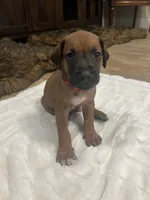 processed/63fa635f-ae2a-4fc2-922a-2fb65f21f200/listing/55f9dad3-3755-4e51-9091-8f9366019b89/a0ab08f5-d4e8-40c0-8ada-ab98c04ce933