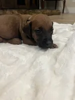 processed/63fa635f-ae2a-4fc2-922a-2fb65f21f200/listing/8b756ffd-7115-4a5b-a034-7995d2fec21a/e58dcd73-cea7-4064-a291-7d5cea1f68c5