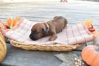 processed/63fa635f-ae2a-4fc2-922a-2fb65f21f200/listing/8b756ffd-7115-4a5b-a034-7995d2fec21a/ee96541a-37ee-46b2-b9f4-ab05cc404b1a