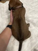 processed/63fa635f-ae2a-4fc2-922a-2fb65f21f200/listing/8b756ffd-7115-4a5b-a034-7995d2fec21a/eeb970a7-168a-456b-b731-cac8f6659394