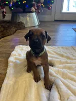 processed/63fa635f-ae2a-4fc2-922a-2fb65f21f200/listing/cb8f5da5-5bc1-4aa1-a55d-6be50ec3b4c8/1d2e4e38-02ea-4cca-a8d5-da67516159a6