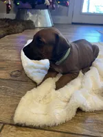 processed/63fa635f-ae2a-4fc2-922a-2fb65f21f200/listing/cb8f5da5-5bc1-4aa1-a55d-6be50ec3b4c8/56dd6409-c9b6-4431-bca1-70ec47f5d101