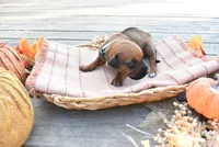 processed/63fa635f-ae2a-4fc2-922a-2fb65f21f200/listing/cb8f5da5-5bc1-4aa1-a55d-6be50ec3b4c8/968df13e-e6ac-4e59-a848-fcc8c63185ec