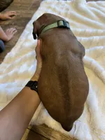 processed/63fa635f-ae2a-4fc2-922a-2fb65f21f200/listing/cb8f5da5-5bc1-4aa1-a55d-6be50ec3b4c8/9a91bd6a-5177-4acc-bc1c-9243953ad302