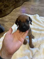 processed/63fa635f-ae2a-4fc2-922a-2fb65f21f200/listing/cb8f5da5-5bc1-4aa1-a55d-6be50ec3b4c8/d5236f3b-758d-4615-b91e-2b9ef55980d1