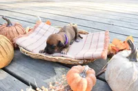 processed/63fa635f-ae2a-4fc2-922a-2fb65f21f200/listing/d818306c-59b5-4185-8a77-888fe8801913/84e5028e-58d8-495f-9c08-c897be73a7d3