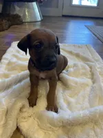 processed/63fa635f-ae2a-4fc2-922a-2fb65f21f200/listing/d818306c-59b5-4185-8a77-888fe8801913/889d39b8-c453-4d95-ab5c-2045ea991b31