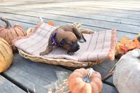 processed/63fa635f-ae2a-4fc2-922a-2fb65f21f200/listing/d818306c-59b5-4185-8a77-888fe8801913/9a40ecfc-4583-49bc-b7e2-781dc31bcce8