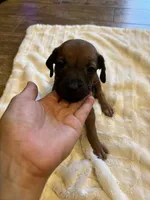 processed/63fa635f-ae2a-4fc2-922a-2fb65f21f200/listing/d818306c-59b5-4185-8a77-888fe8801913/a7f69ecc-6347-4389-8e3f-2e5d1d812e6f