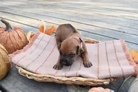 processed/63fa635f-ae2a-4fc2-922a-2fb65f21f200/listing/dc84ab25-0802-4b54-8a08-06a9e8d642a8/4531eb87-3e7d-4320-80c0-2e4ba8c59587