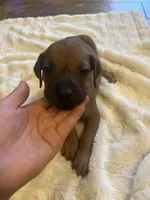 processed/63fa635f-ae2a-4fc2-922a-2fb65f21f200/listing/dc84ab25-0802-4b54-8a08-06a9e8d642a8/5d373bc3-80d5-4aff-ba17-ae35d929b5ce