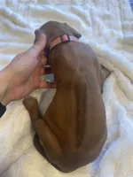 processed/63fa635f-ae2a-4fc2-922a-2fb65f21f200/listing/dc84ab25-0802-4b54-8a08-06a9e8d642a8/8301b22a-14ec-423e-acec-32cbf2a77706