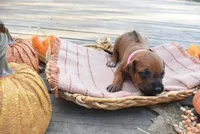 processed/63fa635f-ae2a-4fc2-922a-2fb65f21f200/listing/dc84ab25-0802-4b54-8a08-06a9e8d642a8/90d1f927-67f7-4a91-9745-869cae8420f0