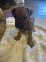 processed/63fa635f-ae2a-4fc2-922a-2fb65f21f200/listing/dc84ab25-0802-4b54-8a08-06a9e8d642a8/a6d77038-fb0c-40a6-a1f9-efb26624bcc8