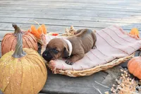 processed/63fa635f-ae2a-4fc2-922a-2fb65f21f200/listing/fb164695-5d02-4dd5-ba2b-a61f0f87f904/281679ae-4cf9-41db-9c06-924b5d4420a5