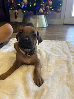 processed/63fa635f-ae2a-4fc2-922a-2fb65f21f200/listing/fb164695-5d02-4dd5-ba2b-a61f0f87f904/3122f25b-9d7c-46a5-9153-dc51d86c3705