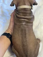 processed/63fa635f-ae2a-4fc2-922a-2fb65f21f200/listing/fb164695-5d02-4dd5-ba2b-a61f0f87f904/57758c0e-2524-484e-ad23-93dca3e0230b