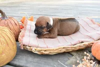 processed/63fa635f-ae2a-4fc2-922a-2fb65f21f200/listing/fb164695-5d02-4dd5-ba2b-a61f0f87f904/bb891b3a-c587-4d27-9b78-5253ec260bea