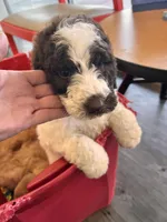 processed/6405735d-0e99-4ddb-abdf-cab1adbd6a63/listing/18c2c07d-16d9-4f11-a8d0-da8435c2ff3b/82b136ad-cc10-4f23-b72d-0ed5a2a12c08